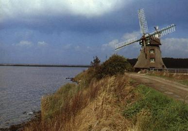 Unsere Wohnung an der Ostsee - Mühle Charlotte